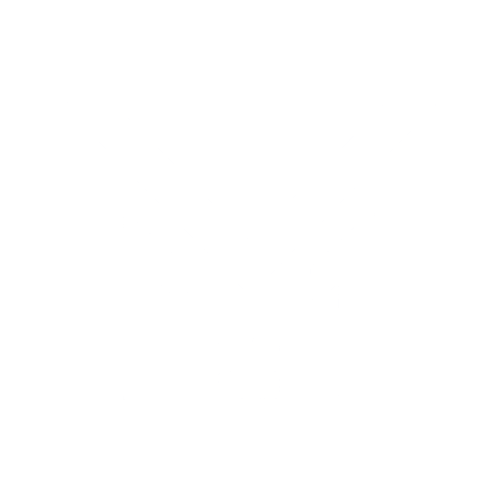 EmlakVIP Logo